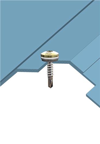 RVS Bi-metaal Boorschroef 4,8x20 mm met 10 mm Afdichtingsring - RAL7016 Antracietgrijs, Boorpunt #1